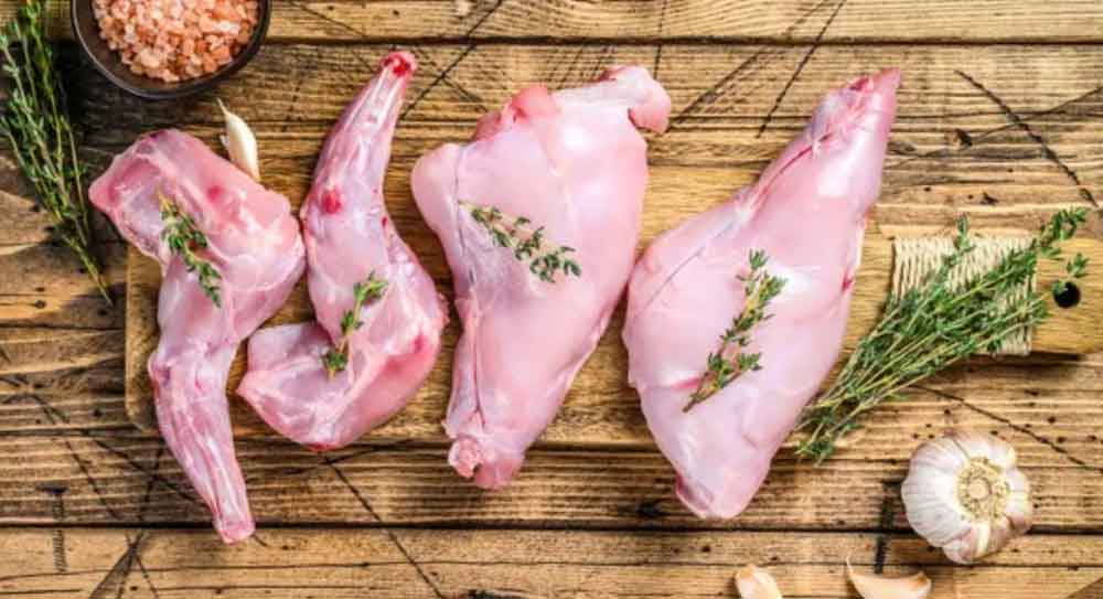 rabbit meat